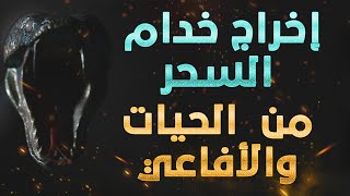 رقية حرق خدام السحر من الحيات والأفاعي نافعة لمن يرى في حلمه الأفعى والثعبان