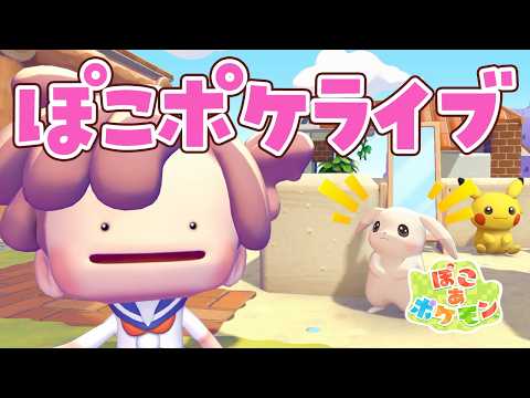 【ぽこポケ】パサパサこうやの地下倉庫作りライブ！【ぽこあ建築】