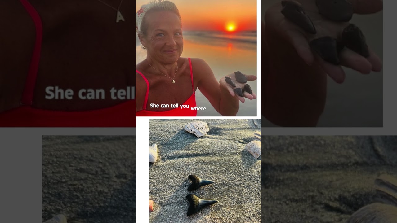 🦈 Want to uncover the secrets to finding shark teeth like a pro?
