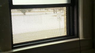 Wisconsin teen escapes from Rock County Jail