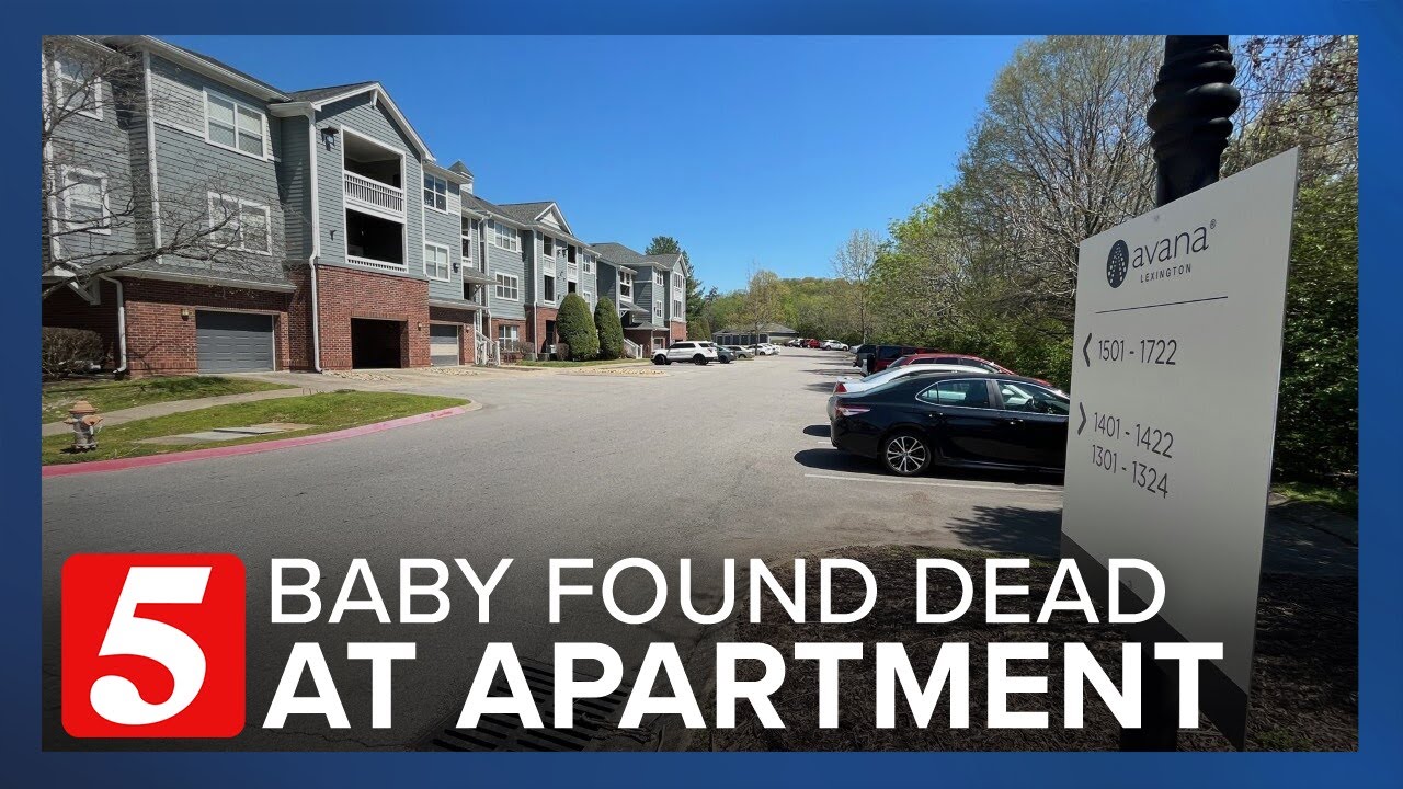 Baby found dead inside babysitter's apartment in Bellevue - YouTube