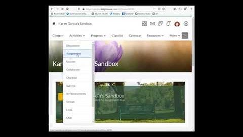 Creating an Assignment in Courses (D2L)
