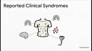Corynebacterium Mucifaciens