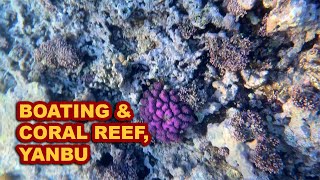 Boating and Underwater Coral Reef - Yanbu, Saudi Arabia