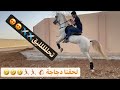 ركوب خيل في رمضان لحقنا دجاجة تربيع وسست 