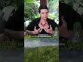 🌿A Centelha Divina nas Plantas - Bruxaria Natural