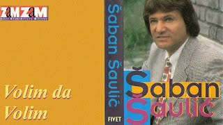 Video thumbnail of "Saban Saulic - Ljubavno ludilo - (Audio 1995)"