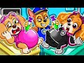 Paw patrol the mighty movie  skye gave birth to twins butbrewing cute baby  pregnant  rainbow 3