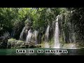 Life is beautiful in nature