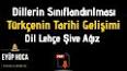 Türkçenin Tarihi ile ilgili video