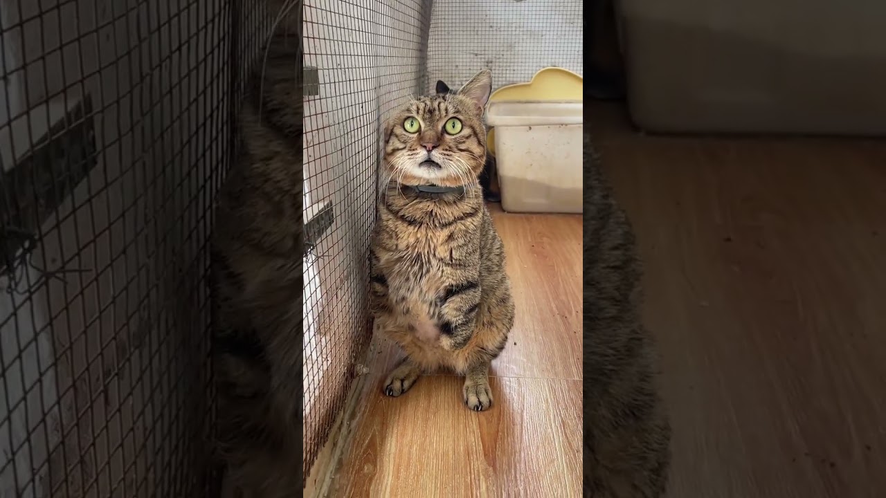 Embracing Imperfection: A Heartwarming Story of Overcoming Loss