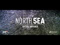 North sea  nature untamed  trailer