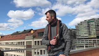 taille framboises et groseilles à maquereaux