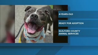 2 The Rescue: Meet Andy