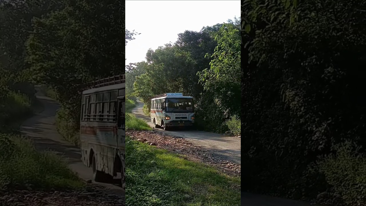 skilled driver of hrtc buses