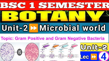 BSc 1st Semester Botany | Unit-2  Microbial World Gram Positive and Gram Negative Bacteria 