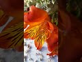 Ambient three. 3D sound. Listen with headphones music.
