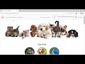 PetPaw Pet Store Demo