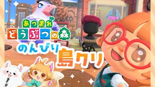 【あつ森】12月だね🎄間に合わせた～い！✨✨【島クリ】