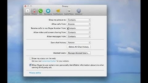 How Do I Bypass Skype Privacy Settings? : SMO Ideas