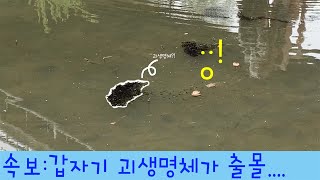 양평 갈기산 캠핑 2   HD 1080p