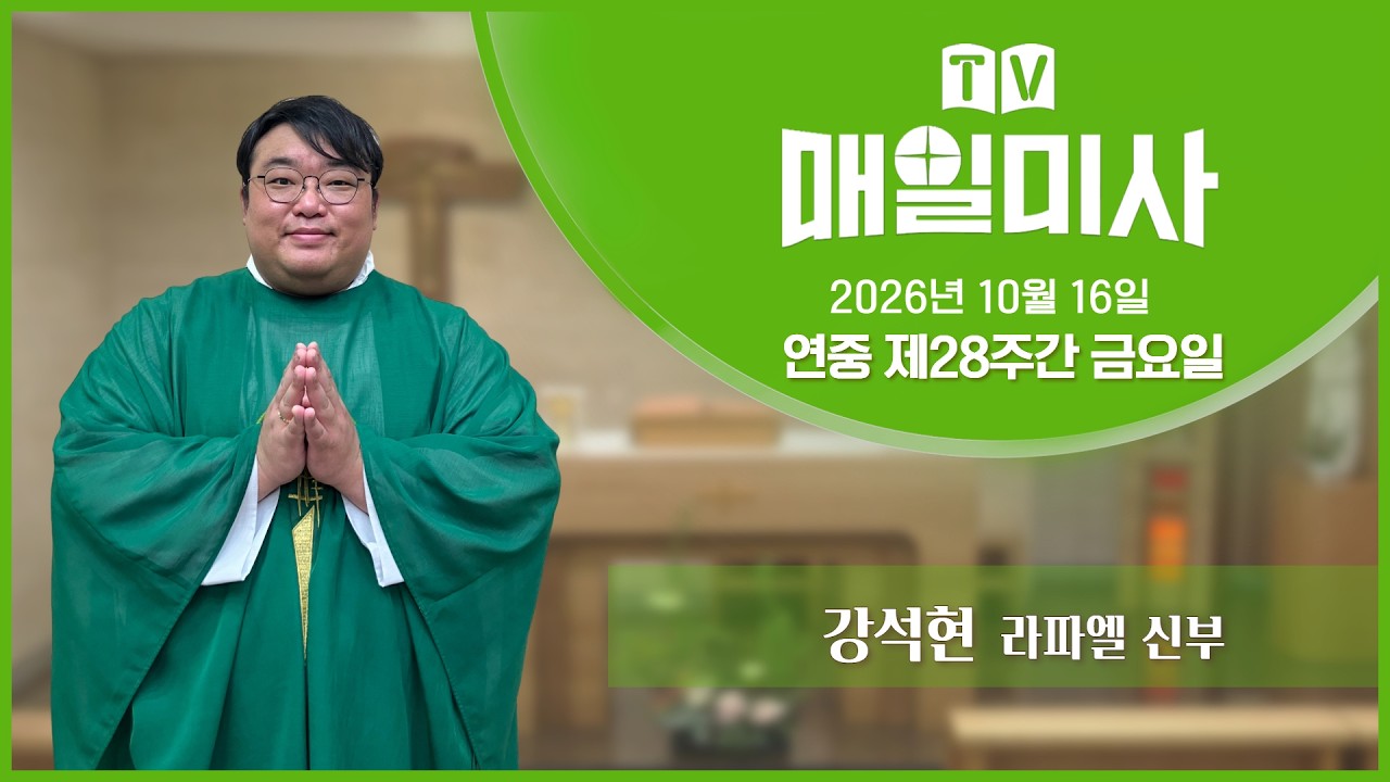 TV留ㅼ씪誘몄궗