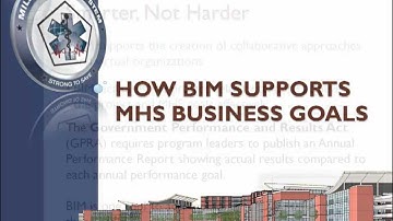 MHS -- BIM 200 Executive Overview Execution Plan