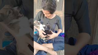 Isaq hai lutana#foryou #ytshorts #song @tanu.7474