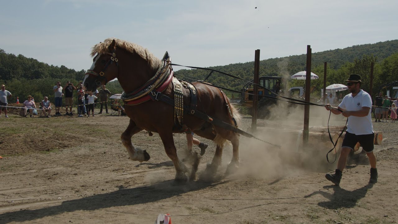 Kóspallagi Hagyományőrző Lovasnap 2024