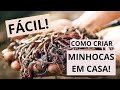 COMO CRIAR MINHOCAS! Tenha isca o ano todo!