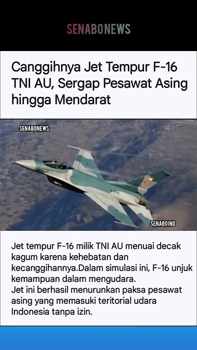 CANGGIH NYA JET TEMPUR F-16 TNI AU SERGAP PESAWAT ASING HINGGA MENDARAT #shorstvideo