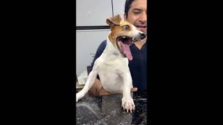 Paglet Manav Funny Video