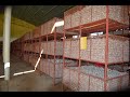 KITUNGUU SWAUMU INA FAIDA KUBWA EKARI 1 Mavuno 15Milion KITUNGUU SWAUMU INA FAIDA KUBWA EKARI 1 Mavuno 15Milion