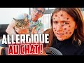 Lily est allrgique aux chat  on doit les donner   pink lily