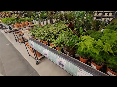 Epicenter, a new plant, an aluminum shelf, and lunch at Novus—a productive day 💯
