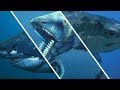 Les Plus Gros Requins Qui Aient Jamais Existé! / Documentaire (Français/HD)