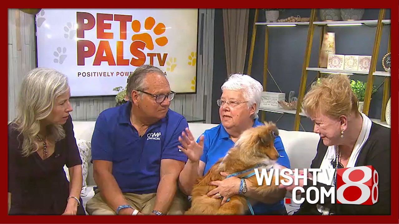  Keeping pets safe and calm during 4th of July celebrations