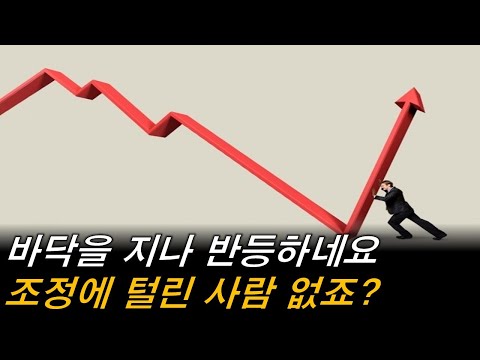 바닥 찍었네요 버틴 분들 축하드립니다 ㅣ미국증시 조정 하락 테슬라 엔비디아 비트코인 금리인상 환율 중국 부동산 파산 물가 잭슨홀 파월 연준 TQQQ SOXL TMF 