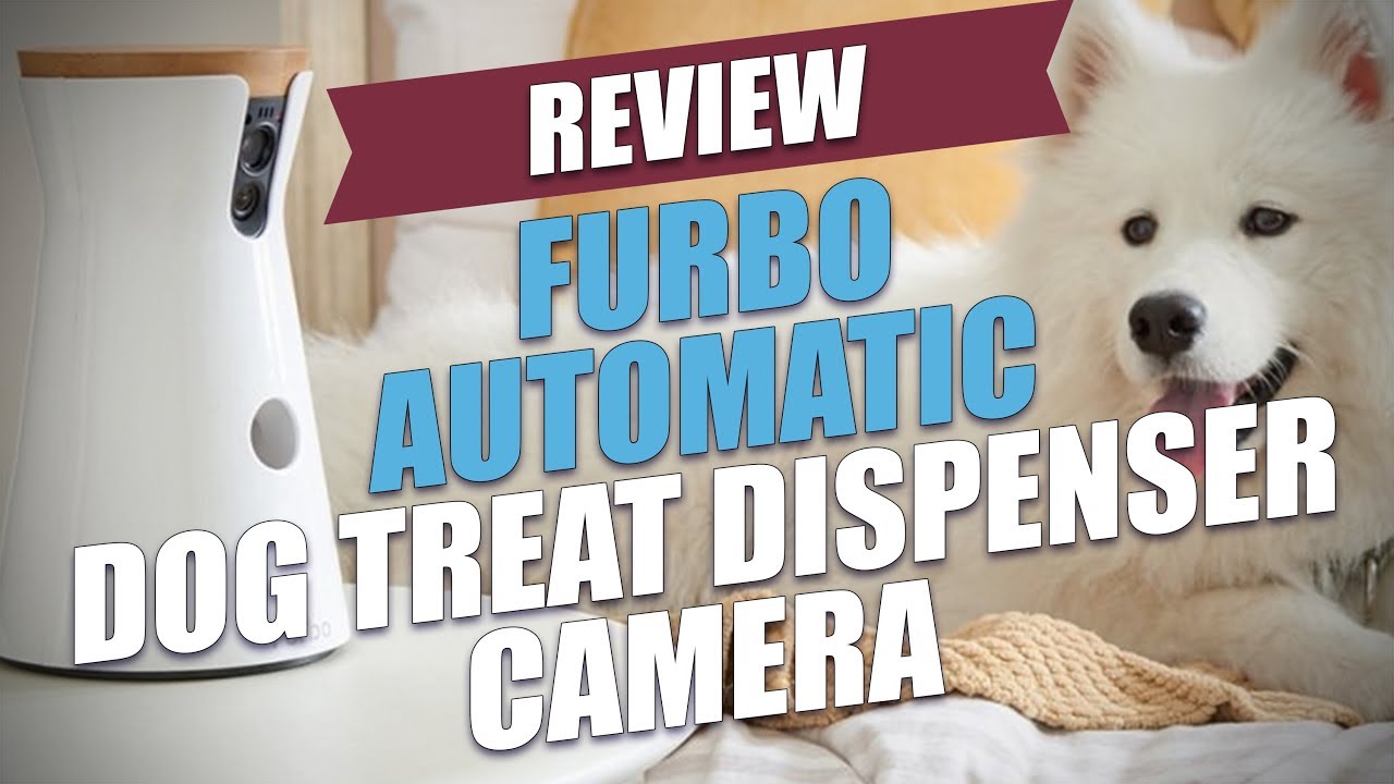 camera and treat dispenser for dogs