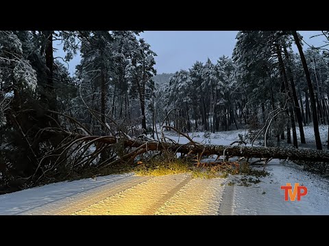 Estado de las carreteras en las provincias de Burgos y Soria