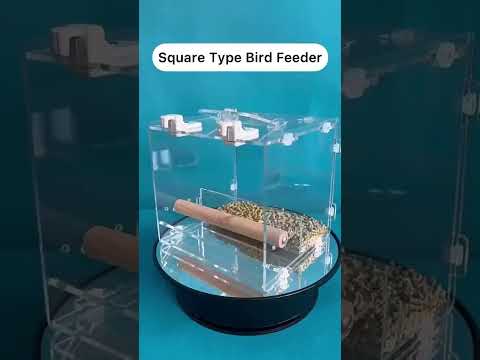 Parrot Seed Food