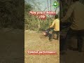 power weeder 7 hp with attachments