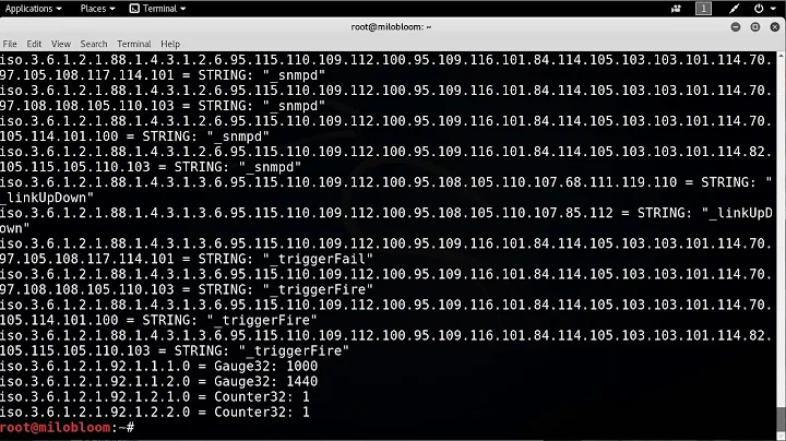 How to  Using Snmpwalk