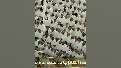 سورة الطارق من مغرب اليوم ١٥ شوال ١٤٤٥فضيلة الشيخ #بندر_بليلة