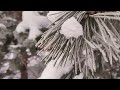Winter also inspires artists, poets and musicians. New music from my channel.