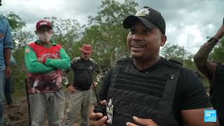 Brazil's Cerrado savanna sacrificed in the name of industrial soya, maize farming • FRANCE 24