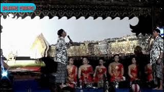 story wa duo jo pelawak