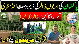 Bitter Gourd (Karela) Pakistan's Billion Dollor Industry | Grow at Home and Earn Dollars