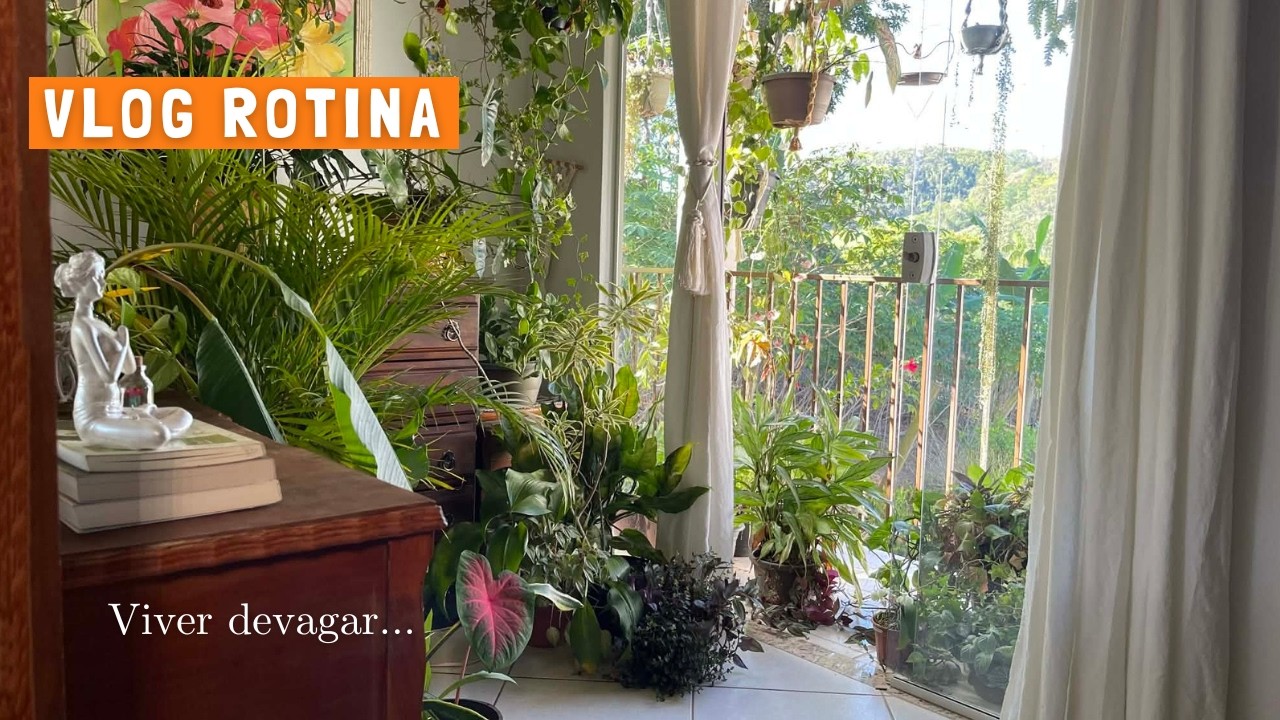 🌧️Dia Chuvoso, vida calma e tranquila | Cuidando das plantas | Mais decoração de Natal 🎄