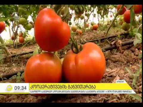 კოოპერატივების განვითარება